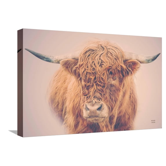 Art.com Highland in the Winter Fog Stretched Canvas Print Wall Art by Nathan Larson, 24" x 16"