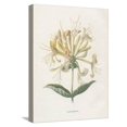thumbnail image 1 of Art.com Honeysuckle Stretched Canvas Print Wall Art by Gwendolyn Babbitt, 12" x 16", 1 of 4