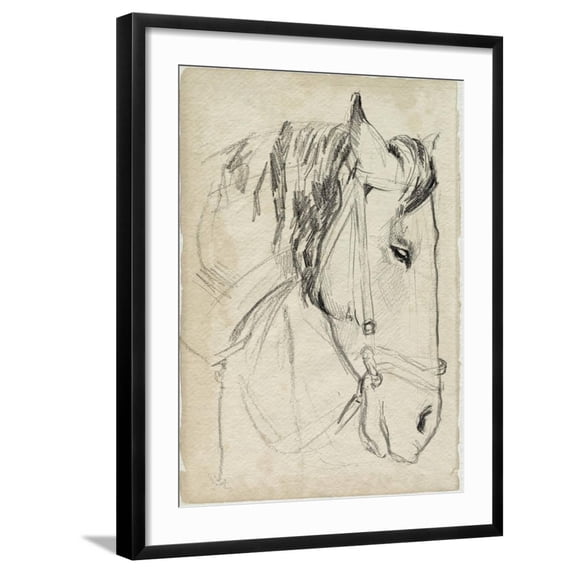Art.com Horse in Bridle Sketch I Art Print by Jennifer Parker, Black Frame Wall Art, 23" x 29"