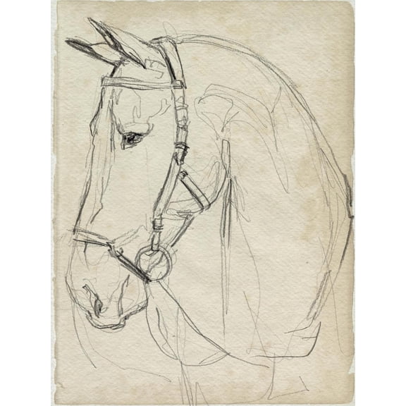 Art.com Horse in Bridle Sketch II Art Print by Jennifer Parker, 12" x 16"
