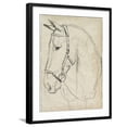 thumbnail image 1 of Art.com Horse in Bridle Sketch II Art Print by Jennifer Parker, Black Frame Wall Art, 23" x 29", 1 of 5