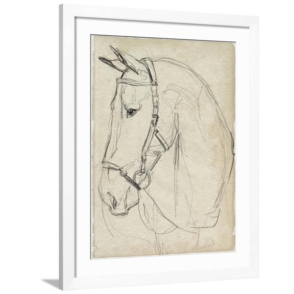 Art.com Horse in Bridle Sketch II Art Print by Jennifer Parker, White Frame Wall Art, 32" x 40"
