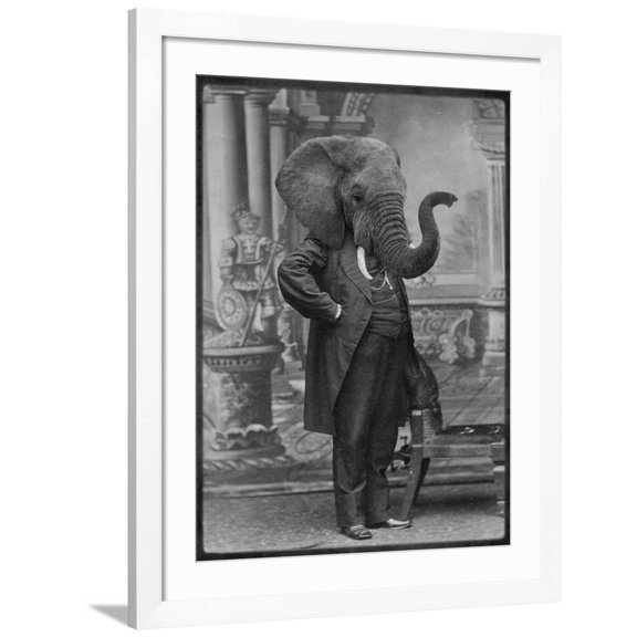 Art.com Hortence J Pacadorf Art Print by Grand Ole Bestiary, White Frame Wall Art, 32" x 40"
