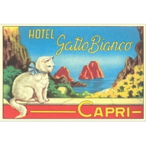 Art.com Hotel Gatto Bianco Stretched Canvas Print Wall Art, 18" x 12"