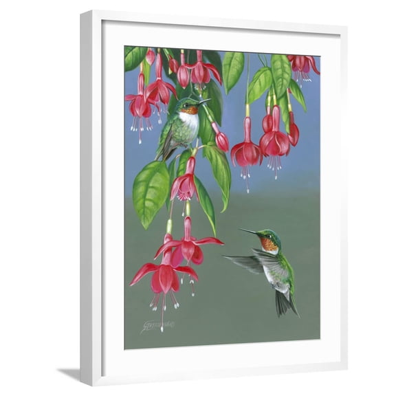 Art.com Hummers and Fuchsia Art Print by Fred Szatkowski, White Frame Wall Art, 23" x 29"