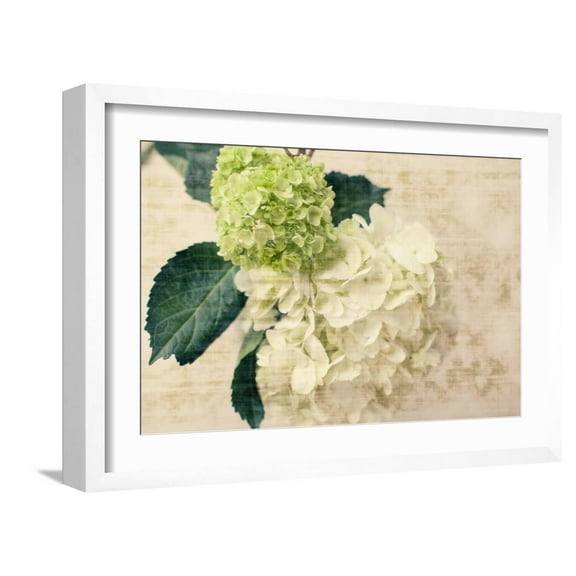 Art.com Hydrangeas I Photo by Susan Bryant, White Frame Wall Art, 23" x 17"