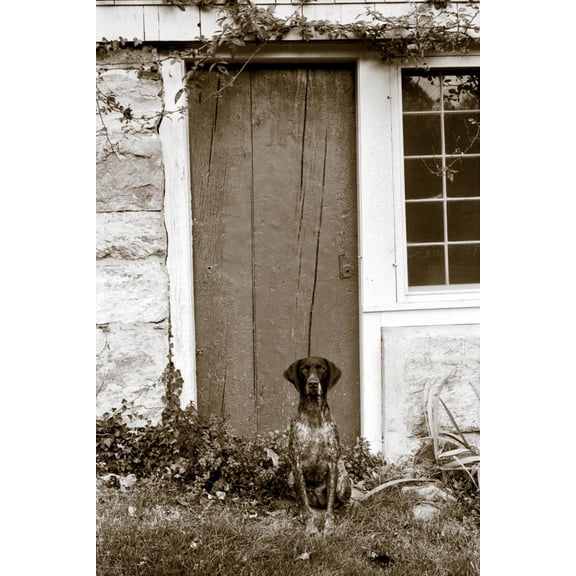 Art.com I am Home Photo by Jim Dratfield, 24" x 36"