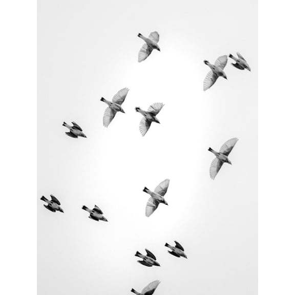 Art.com In the Sky 1 Photographic Print by Design Fabrikken, 12" x 16"
