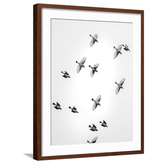 Art.com In the Sky 1 Photographic Print by Design Fabrikken, Brown Frame Wall Art, 23" x 29"