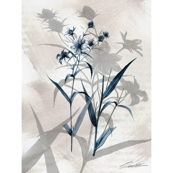 Art.com Indigo Bloom IV Art Print by John Butler, 12" x 16"