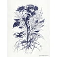 thumbnail image 1 of Art.com Indigo Botanical III Art Print by Gwendolyn Babbitt, 12" x 16", 1 of 4