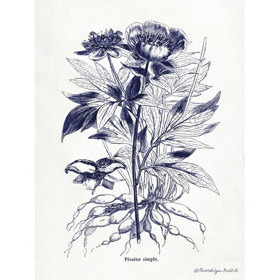 Art.com Indigo Botanical III Art Print by Gwendolyn Babbitt, 12" x 16"