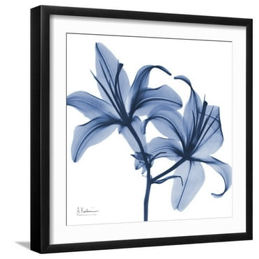 Art.com Indigo Infused Lily Art Print by Albert Koetsier, Black Frame Wall Art, 21" x 21"