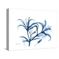thumbnail image 1 of Art.com Indigo Starfire Lily Stretched Canvas Print Wall Art by Albert Koetsier, 16" x 12", 1 of 4