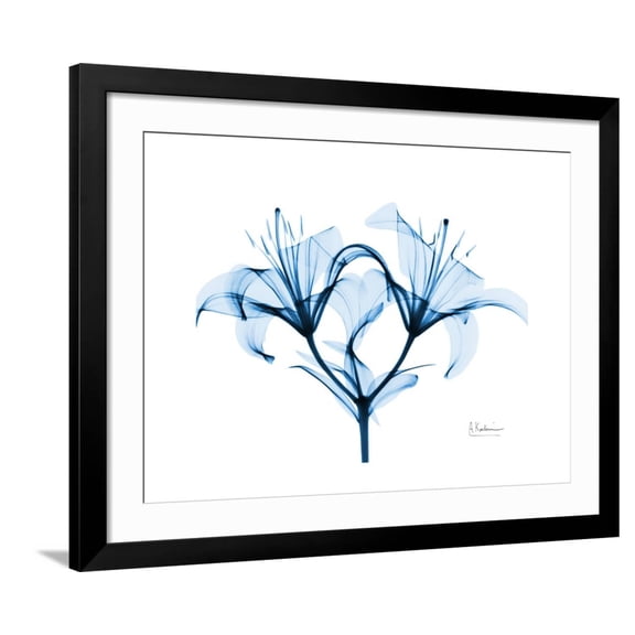 Art.com Indigo Starflame Lily Premium Giclee Print by Albert Koetsier, Black Frame Wall Art, 40" x 32"