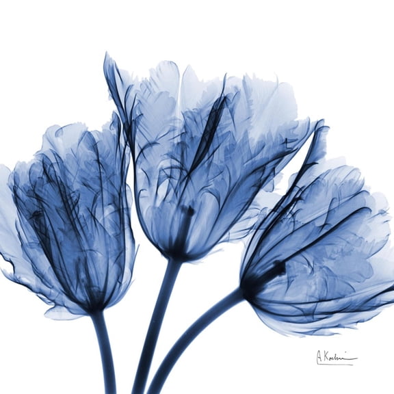 Art.com Indigo Stunning Tulips Art Print by Albert Koetsier, 24" x 24"