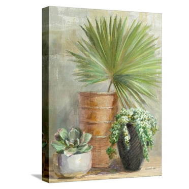 Art.com Indoor Garden II Stretched Canvas Print Wall Art by Danhui Nai, 12" x 16"