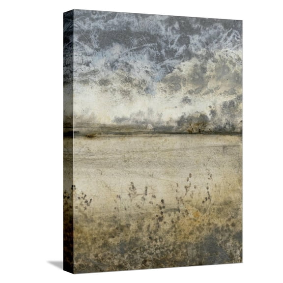 Art.com Infinite II Stretched Canvas Print Wall Art by Tim O'toole, 12" x 16"