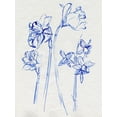 thumbnail image 1 of Art.com Inky Daffodils I Art Print by Jennifer Parker, 18" x 24", 1 of 4