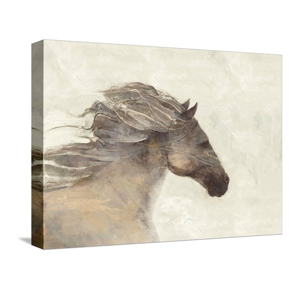 Art.com Into the Wind Ivory Reversed Stretched Canvas Print Wall Art by Albena Hristova, 16" x 12"