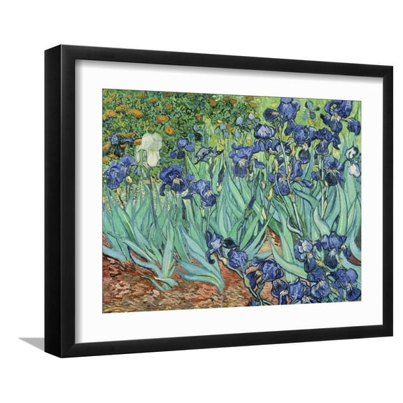 Art.com Irises, 1889 Giclee Print by Vincent van Gogh, Black Frame Wall Art, 21" x 17"