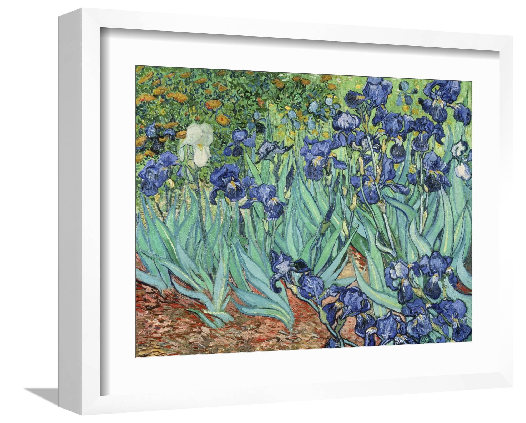 Art.com Irises, 1889 Giclee Print by Vincent van Gogh, White Frame Wall