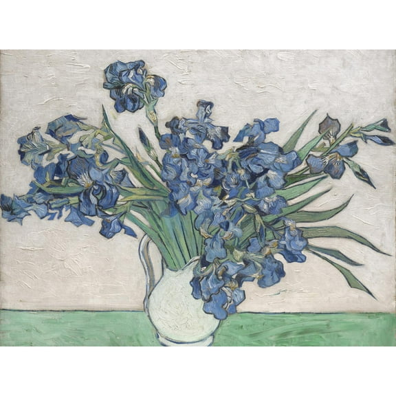 Art.com Irises Art Print by Vincent van Gogh, 16" x 12"