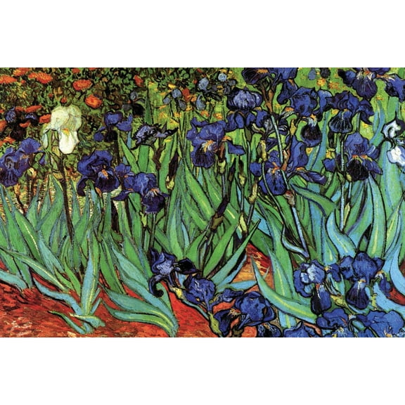 Art.com Irises Art Print by Vincent van Gogh, 18" x 12"