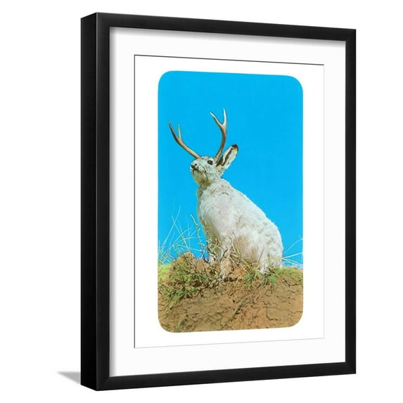 Art.com Jackalope, Horned Rabbit Art Print, Black Frame Wall Art, 17" x 21"