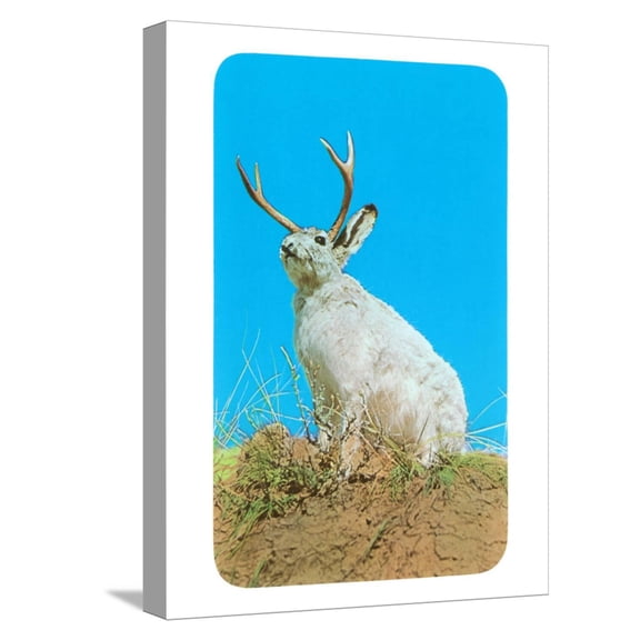 Art.com Jackalope, Horned Rabbit Stretched Canvas Print Wall Art, 12" x 16"