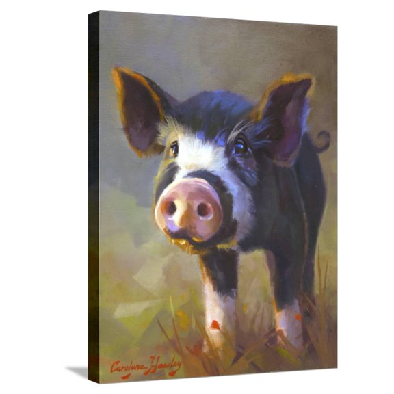 Art.com Jasmine Stretched Canvas Print Wall Art by Carolyne Hawley, 18" x 24"