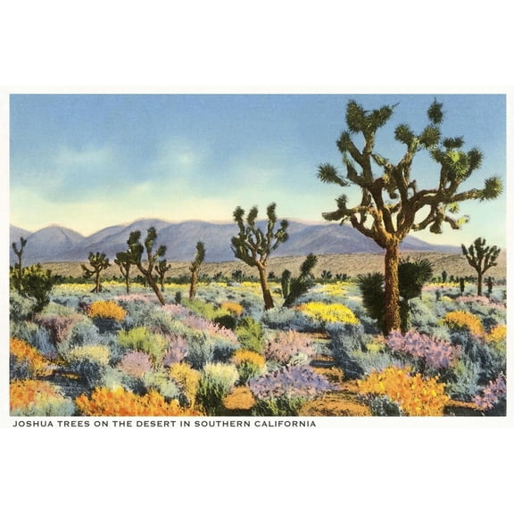 Art.com Joshua Trees in Desert, California Art Print, 18" x 12"