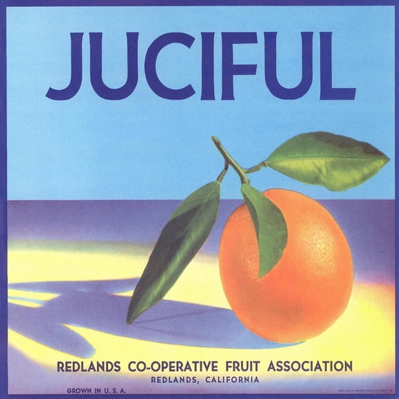 Art.com Juciful Orange Crate Label Art Print, 16" x 16"