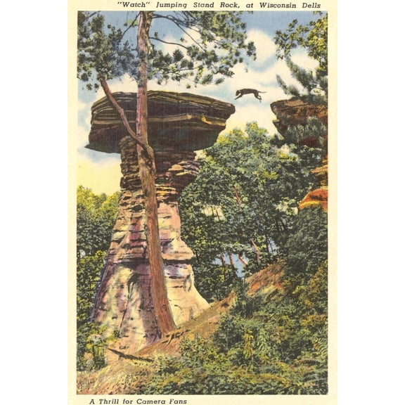 Art.com Jumping Stand Rock, Wisconsin Dells Art Print, 16" x 24"
