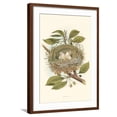 thumbnail image 1 of Art.com Kingbird Nest and Eggs Art Print, Brown Frame Wall Art, 21" x 29", 1 of 5