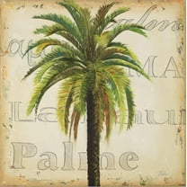 Art.com La Palma III Stretched Canvas Print Wall Art by Patricia Pinto, 16" x 16"