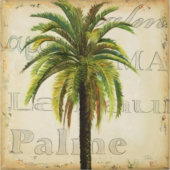 Art.com La Palma III Stretched Canvas Print Wall Art by Patricia Pinto, 16" x 16"
