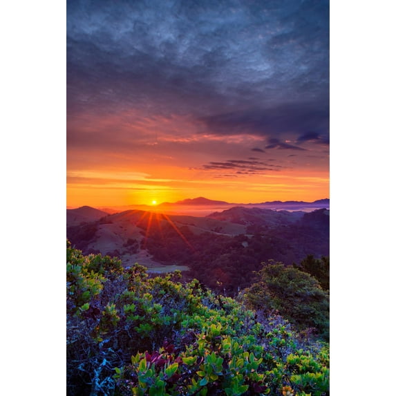 Art.com Late Spring Sunrise Magic, Mount Diablo, Lafayette, California, Oakland Photographic Print by Vincent James, 16" x 24"