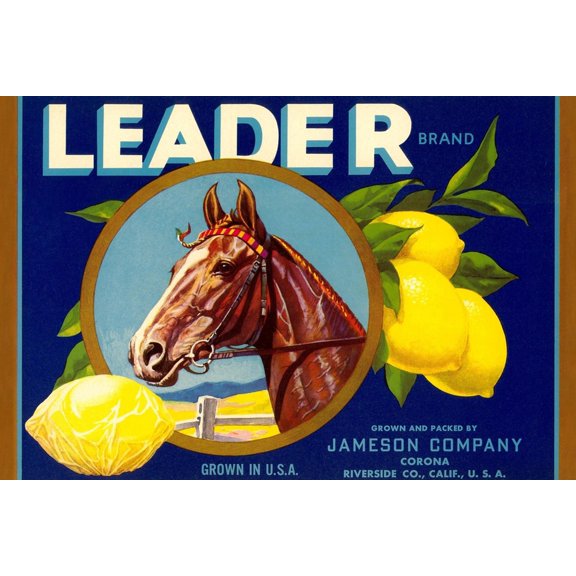 Art.com Leader Lemon Label Art Print, 18" x 12"