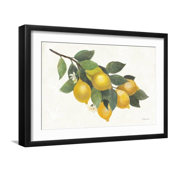 Art.com Lemon Branch I Art Print by Albena Hristova, Black Frame Wall Art, 23" x 17"