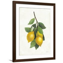 Art.com Lemon Branch III Art Print by Albena Hristova, Brown Frame Wall Art, 32" x 40"