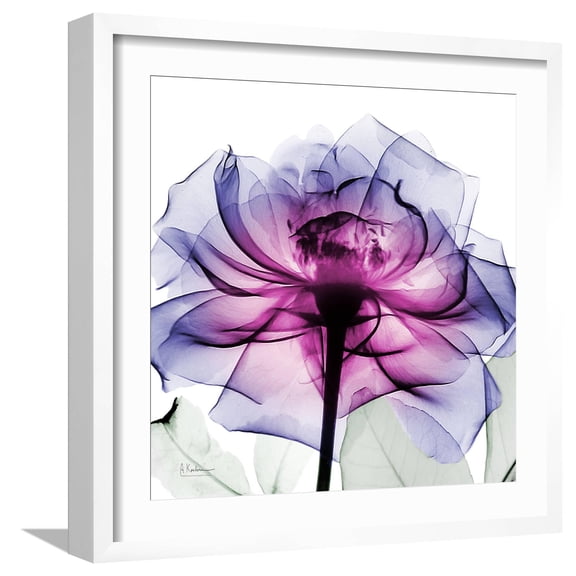 Art.com Leni Rose 2 Art Print by Albert Koetsier, White Frame Wall Art, 21" x 21"