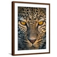 thumbnail image 1 of Art.com Leopard (Panthera Pardus), Ndutu, Ngorongoro Conservation Area, Tanzania Photographic Print, Brown Frame Wall Art, 23" x 29", 1 of 5