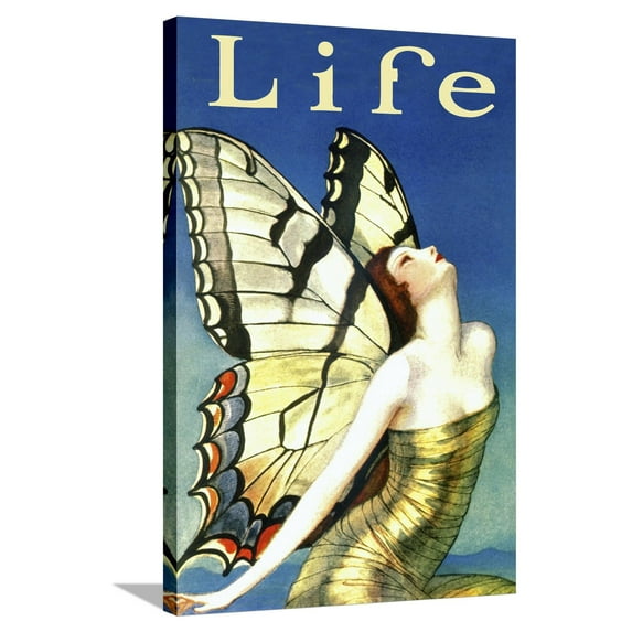 Art.com Life Stretched Canvas Print Wall Art, 24" x 36"