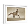 thumbnail image 1 of Art.com Like the Wind Photographic Print by Lisa Dearing, White Frame Wall Art, 23" x 17", 1 of 5