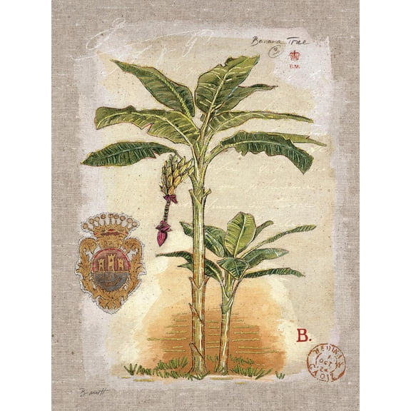 Art.com Linen Banana Palm Tree Art Print by Chad Barrett, 12" x 16"