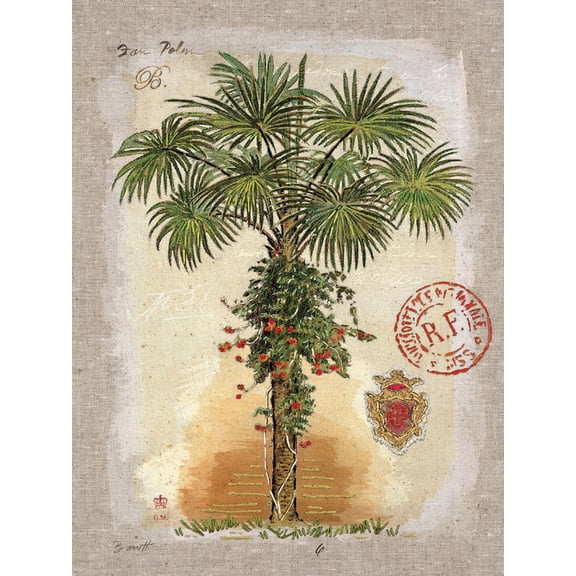Art.com Linen Fan Palm Tree Art Print by Chad Barrett, 18" x 24"