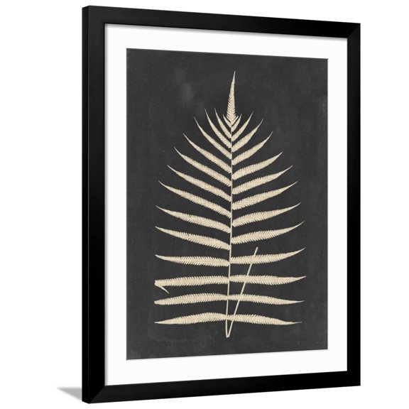 Art.com Linen Fern III Art Print by Vision Studio, Black Frame Wall Art, 32" x 40"