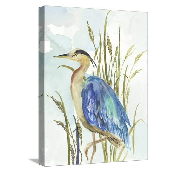 Art.com Little Blue Heron Stretched Canvas Print Wall Art by Aimee Wilson, 12" x 16"