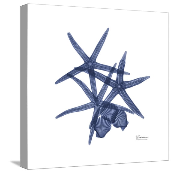 Art.com Little Scallops Stretched Canvas Print Wall Art by Albert Koetsier, 16" x 16"